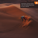 RAVEK - Brake Light - 20202242