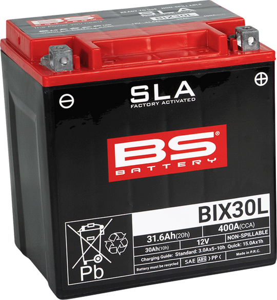 BS BATTERY - SLA Factory- Activated AGM Maintenance-Free Battery - 21130644