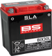 BS BATTERY - SLA Factory- Activated AGM Maintenance-Free Battery - 21130644