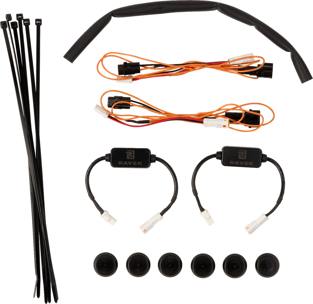 RAVEK - Wire Harness - 20500550