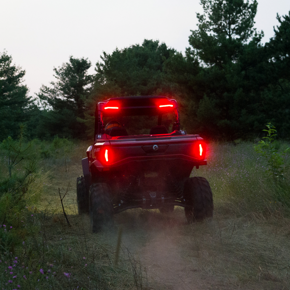 RAVEK - Brake Light - 20202266