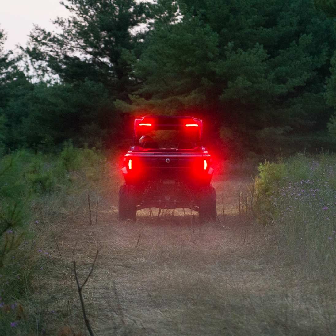 RAVEK - Brake Light - 20202266