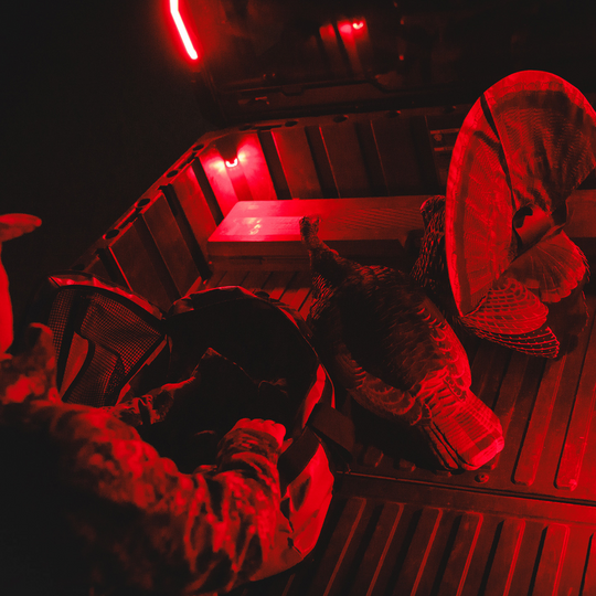 RAVEK - Trunk Light - 20403254