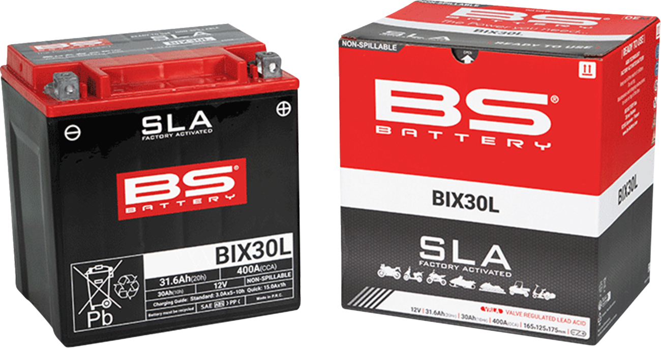 BS BATTERY - SLA Factory- Activated AGM Maintenance-Free Battery - 21130644