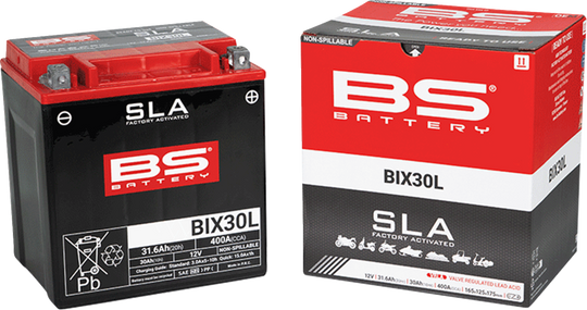 BS BATTERY - SLA Factory- Activated AGM Maintenance-Free Battery - 21130644