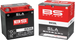 BS BATTERY - SLA Factory- Activated AGM Maintenance-Free Battery - 21130644