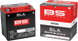 BS BATTERY - SLA Factory- Activated AGM Maintenance-Free Battery - 21130644