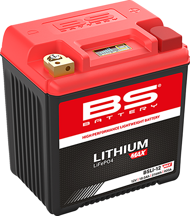 BS BATTERY - Lithium Max LiFePO4 Battery - 21130950