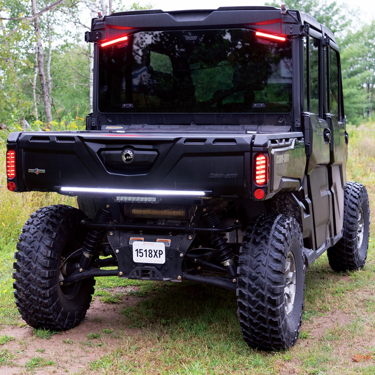RAVEK - Multi-Function Taillight - 20101534
