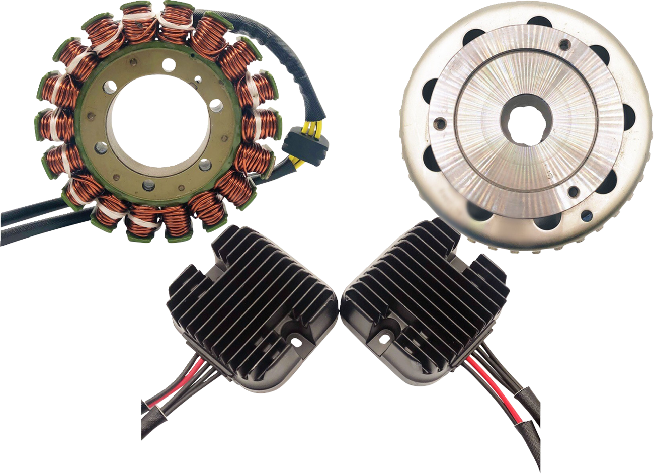 RICK'S MOTORSPORT ELECTRIC - Double Shot Charging Kit - 21121737