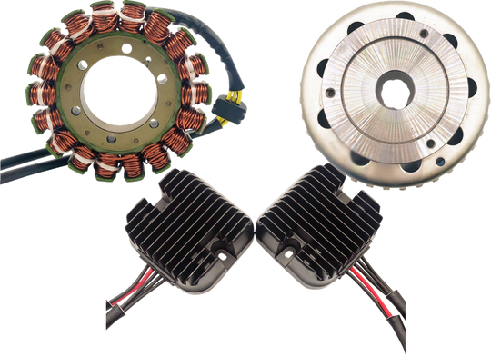 RICK'S MOTORSPORT ELECTRIC - Double Shot Charging Kit - 21121737