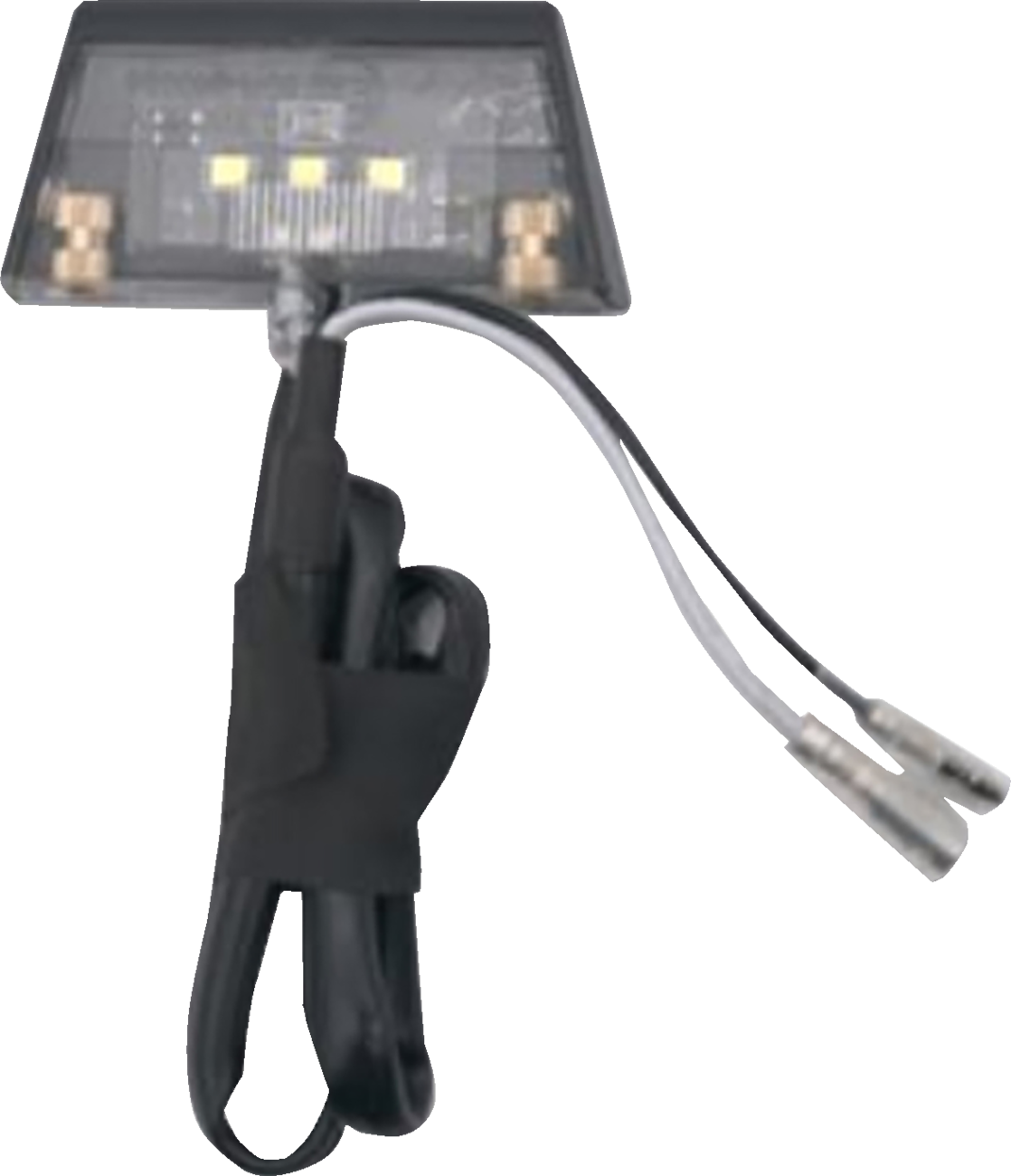RAVEK - License Plate Light - 20302487