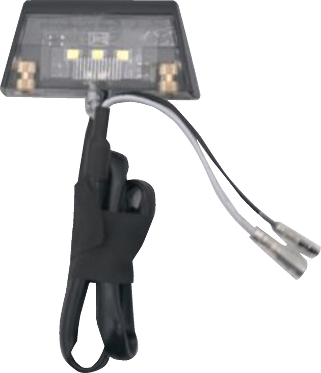 RAVEK - License Plate Light - 20302487