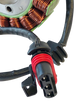RICK'S MOTORSPORT ELECTRIC - OE Style Stator - 21121471