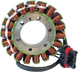 RICK'S MOTORSPORT ELECTRIC - OE Style Stator - 21121471