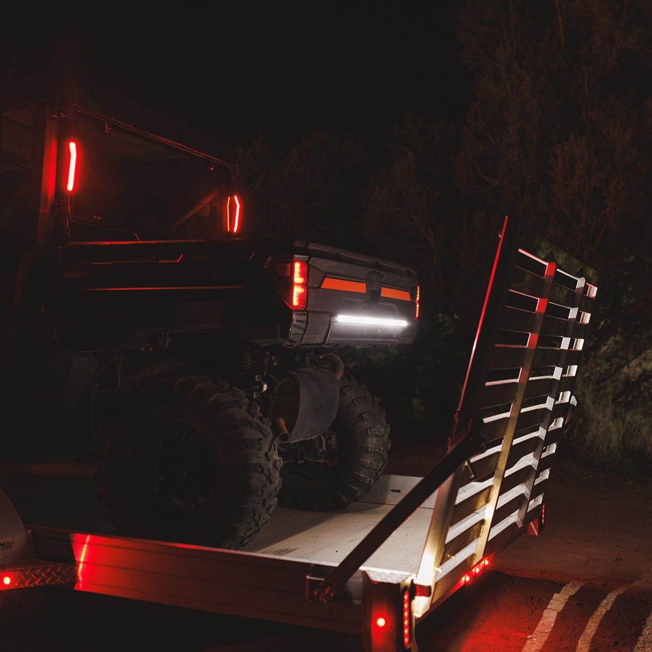 RAVEK - Multi-Function Taillight - 20101530