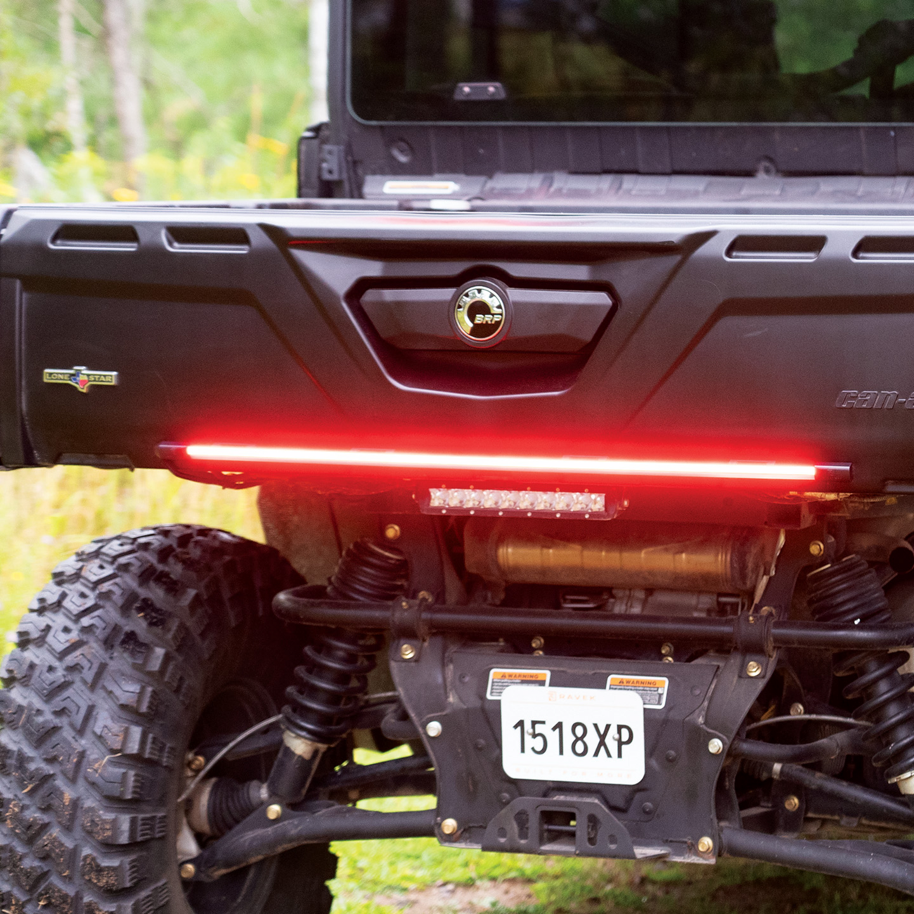 RAVEK - Multi-Function Taillight - 20101534