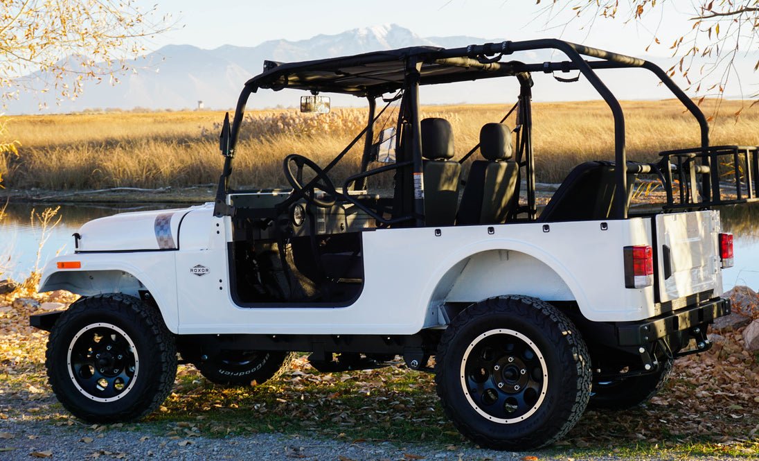 Roxor Rear Rops ROXOR Rear Roll Cage *ONLY* (2018-2025)